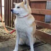 寧々 呪縛 熊本ピカソ