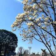 ヒメ日記 2026/03/06 22:03 投稿 寧々 熊本ピカソ