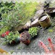 ヒメ日記 2026/03/13 02:23 投稿 寧々 熊本ピカソ