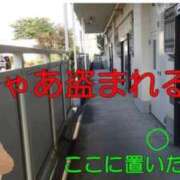 ヒメ日記 2026/03/13 22:13 投稿 寧々 熊本ピカソ