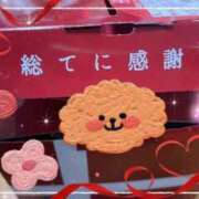 ヒメ日記 2026/03/15 07:11 投稿 寧々 熊本ピカソ