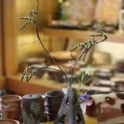 ヒメ日記 2026/03/15 12:32 投稿 寧々 熊本ピカソ