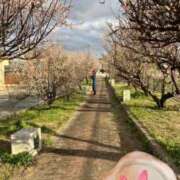 ヒメ日記 2026/03/18 19:13 投稿 寧々 熊本ピカソ