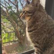 ヒメ日記 2026/03/23 12:18 投稿 寧々 熊本ピカソ