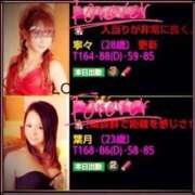 ヒメ日記 2026/03/27 13:13 投稿 寧々 熊本ピカソ