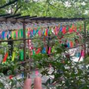 ヒメ日記 2026/03/28 22:13 投稿 寧々 熊本ピカソ