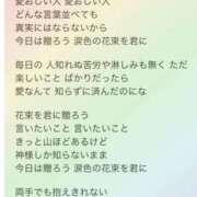 ヒメ日記 2026/03/31 08:53 投稿 寧々 熊本ピカソ