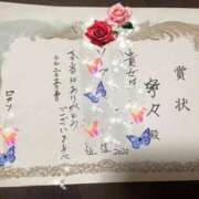 ヒメ日記 2026/03/31 16:13 投稿 寧々 熊本ピカソ