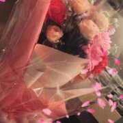 ヒメ日記 2026/03/31 17:17 投稿 寧々 熊本ピカソ