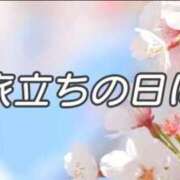 寧々 旅立ちの日に. 熊本ピカソ