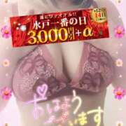 ヒメ日記 2024/12/14 08:57 投稿 えま 水戸人妻花壇