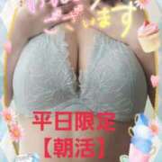 ヒメ日記 2024/12/16 09:01 投稿 えま 水戸人妻花壇