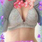 ヒメ日記 2025/02/01 09:02 投稿 えま 水戸人妻花壇