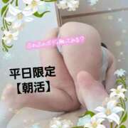 ヒメ日記 2025/03/06 13:01 投稿 えま 水戸人妻花壇