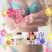 ヒメ日記 2025/04/16 09:00 投稿 えま 水戸人妻花壇