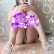 ヒメ日記 2025/04/16 15:31 投稿 えま 水戸人妻花壇