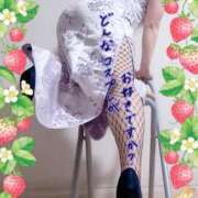 ヒメ日記 2025/04/16 19:01 投稿 えま 水戸人妻花壇