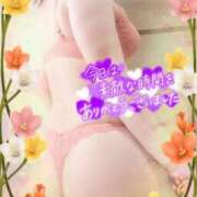 ヒメ日記 2025/05/01 18:03 投稿 えま 水戸人妻花壇