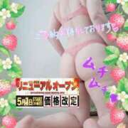 ヒメ日記 2025/05/01 21:15 投稿 えま 水戸人妻花壇