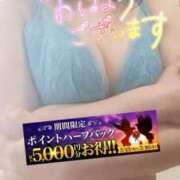 ヒメ日記 2025/05/15 08:54 投稿 えま 水戸人妻花壇