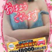 ヒメ日記 2025/05/26 08:55 投稿 えま 水戸人妻花壇