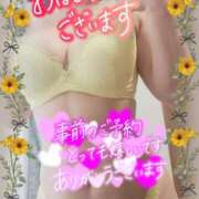 ヒメ日記 2025/07/31 08:58 投稿 えま 水戸人妻花壇