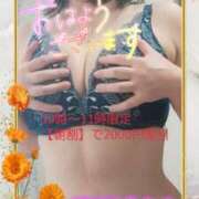 ヒメ日記 2025/09/04 09:05 投稿 えま 水戸人妻花壇