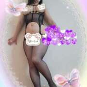 ヒメ日記 2025/10/27 15:49 投稿 えま 水戸人妻花壇