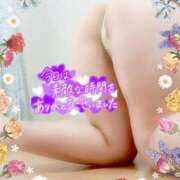 ヒメ日記 2025/11/13 22:12 投稿 えま 水戸人妻花壇