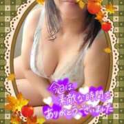 ヒメ日記 2025/11/22 13:18 投稿 えま 水戸人妻花壇