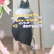 ヒメ日記 2026/03/04 16:06 投稿 えま 水戸人妻花壇