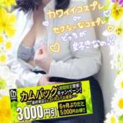 ヒメ日記 2026/03/11 16:09 投稿 えま 水戸人妻花壇