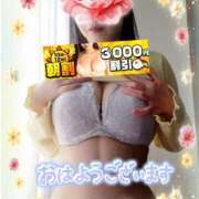ヒメ日記 2026/03/12 09:04 投稿 えま 水戸人妻花壇