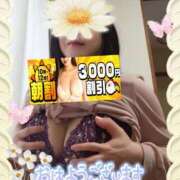 ヒメ日記 2026/03/31 09:05 投稿 えま 水戸人妻花壇