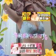 ヒメ日記 2026/04/05 00:56 投稿 えま 水戸人妻花壇