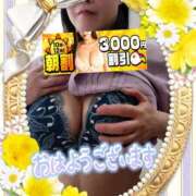 ヒメ日記 2026/04/13 09:08 投稿 えま 水戸人妻花壇