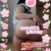 ヒメ日記 2026/04/14 13:10 投稿 えま 水戸人妻花壇