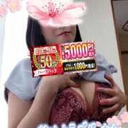 ヒメ日記 2026/04/16 09:15 投稿 えま 水戸人妻花壇