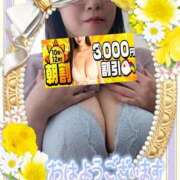 ヒメ日記 2026/04/24 09:01 投稿 えま 水戸人妻花壇