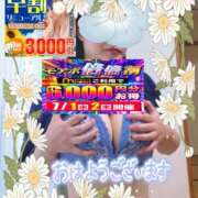 ヒメ日記 2026/07/02 09:10 投稿 えま 水戸人妻花壇