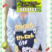 ヒメ日記 2026/07/15 15:21 投稿 えま 水戸人妻花壇