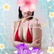 ヒメ日記 2026/09/03 12:39 投稿 えま 水戸人妻花壇