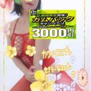 ヒメ日記 2026/09/10 15:09 投稿 えま 水戸人妻花壇