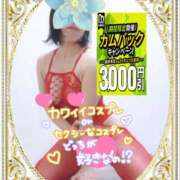 ヒメ日記 2026/09/14 15:09 投稿 えま 水戸人妻花壇