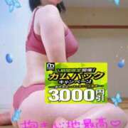 ヒメ日記 2026/09/16 12:19 投稿 えま 水戸人妻花壇