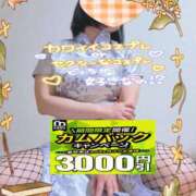 ヒメ日記 2026/10/08 15:04 投稿 えま 水戸人妻花壇