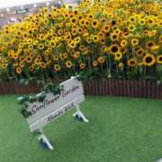 ヒメ日記 2025/07/06 23:16 投稿 松井 まお ギン妻パラダイス 谷九店