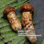 ヒメ日記 2025/09/27 21:19 投稿 松井 まお ギン妻パラダイス 谷九店