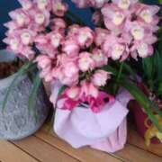 ヒメ日記 2025/11/20 22:14 投稿 松井 まお ギン妻パラダイス 谷九店