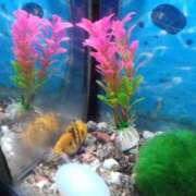 ヒメ日記 2025/11/22 10:24 投稿 松井 まお ギン妻パラダイス 谷九店